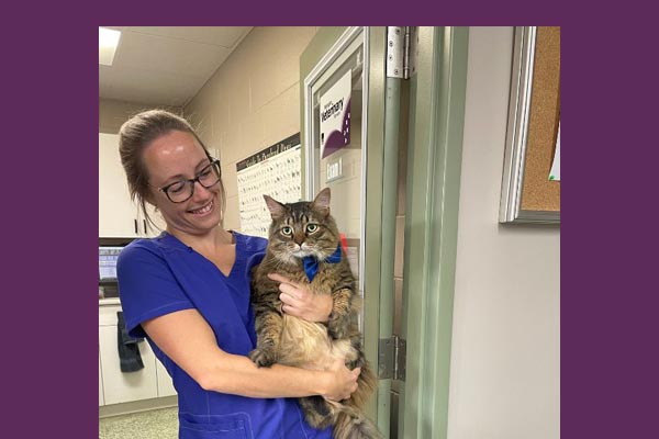 staff member holding cat