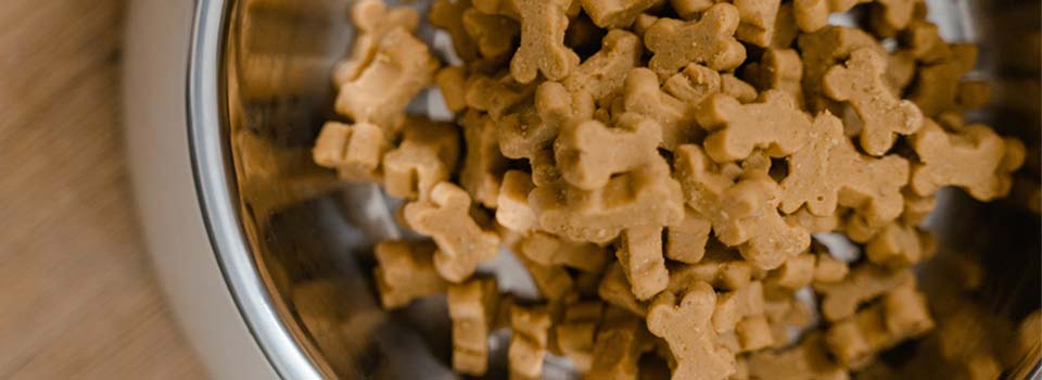 close up of pet food in bowl