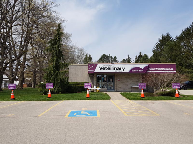 front view of wellington vet services clinic from parking lot